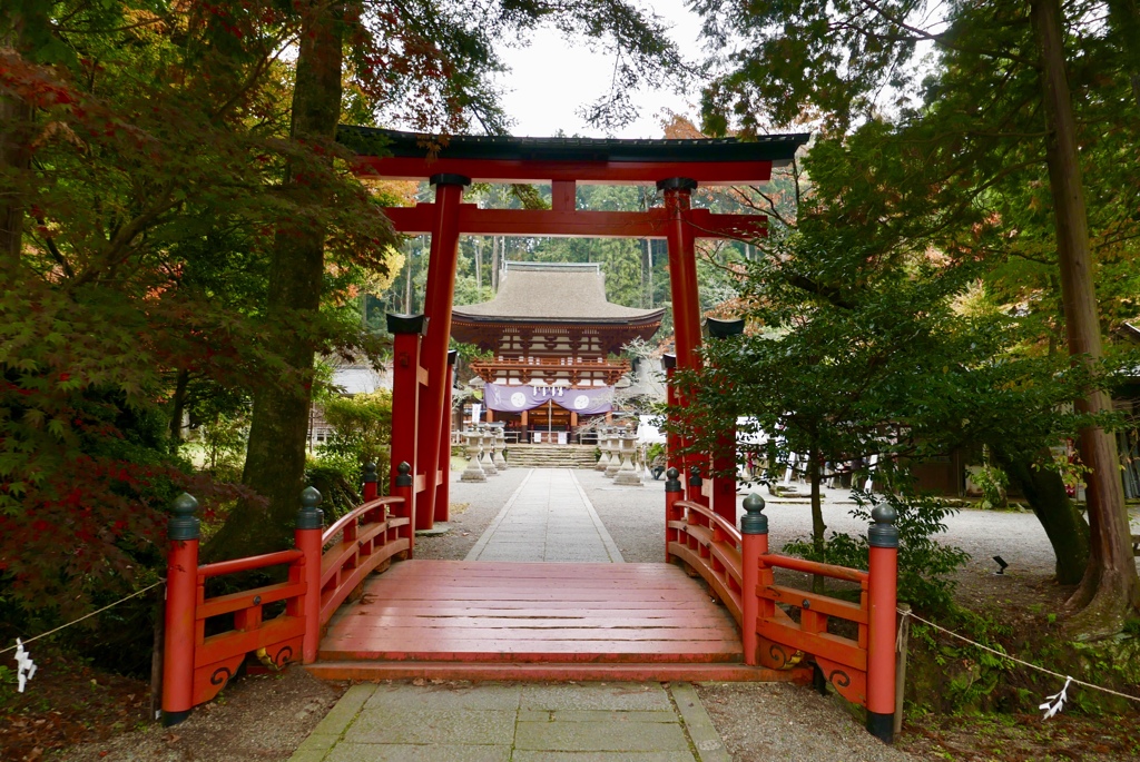 丹生都比売神社 参道より本殿