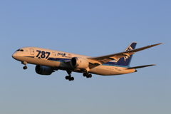787