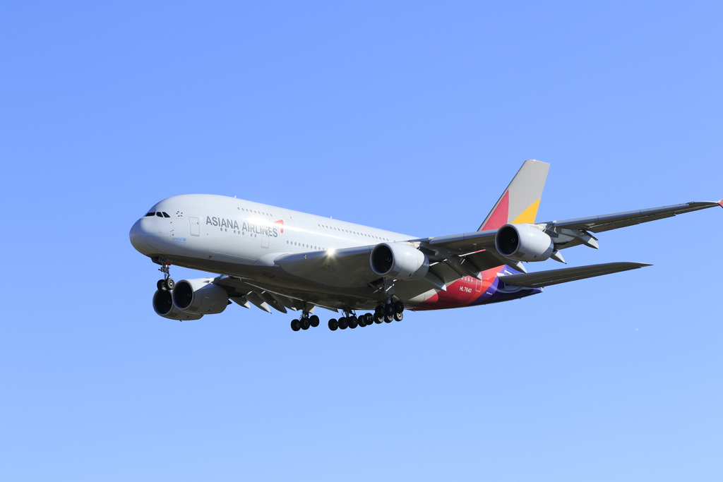 飛行機