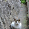 北野異人館付近