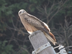 DSCN9324