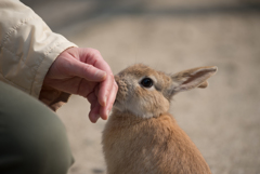 あのね