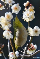 すき間にピッタリ