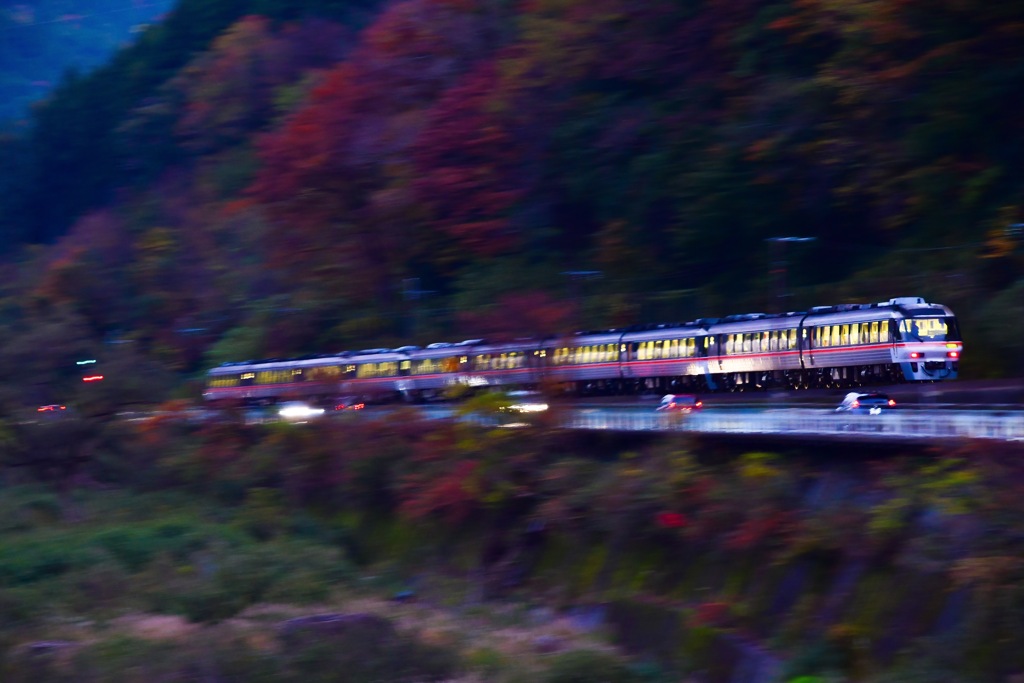 紅葉迫る山肌を縫うように疾走する特急ひだ