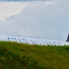 STAR ALLIANCE / 2
