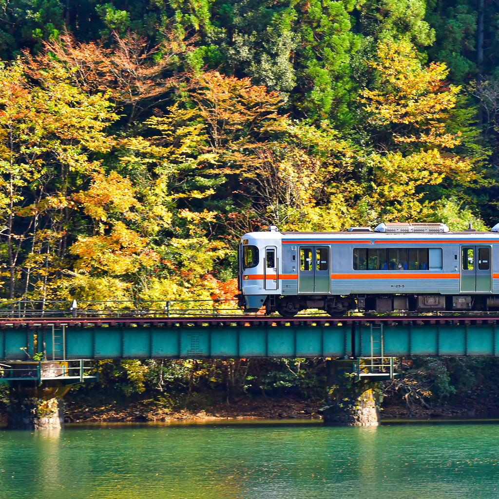 紅葉列車疾走中