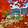 紅葉に見守られて目指すは高山