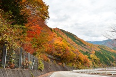 飛騨路の紅葉