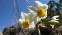 IMG_0139