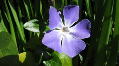 IMG_0099