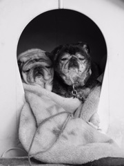 似たり寄ったり１