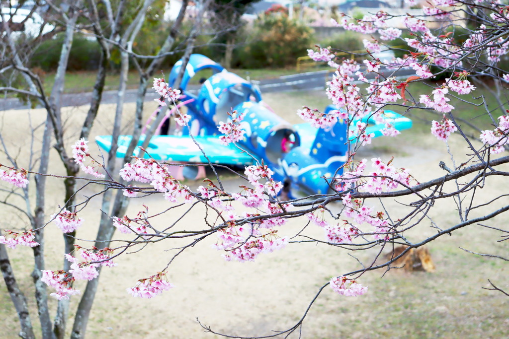 ヒコーキ公園桜景色