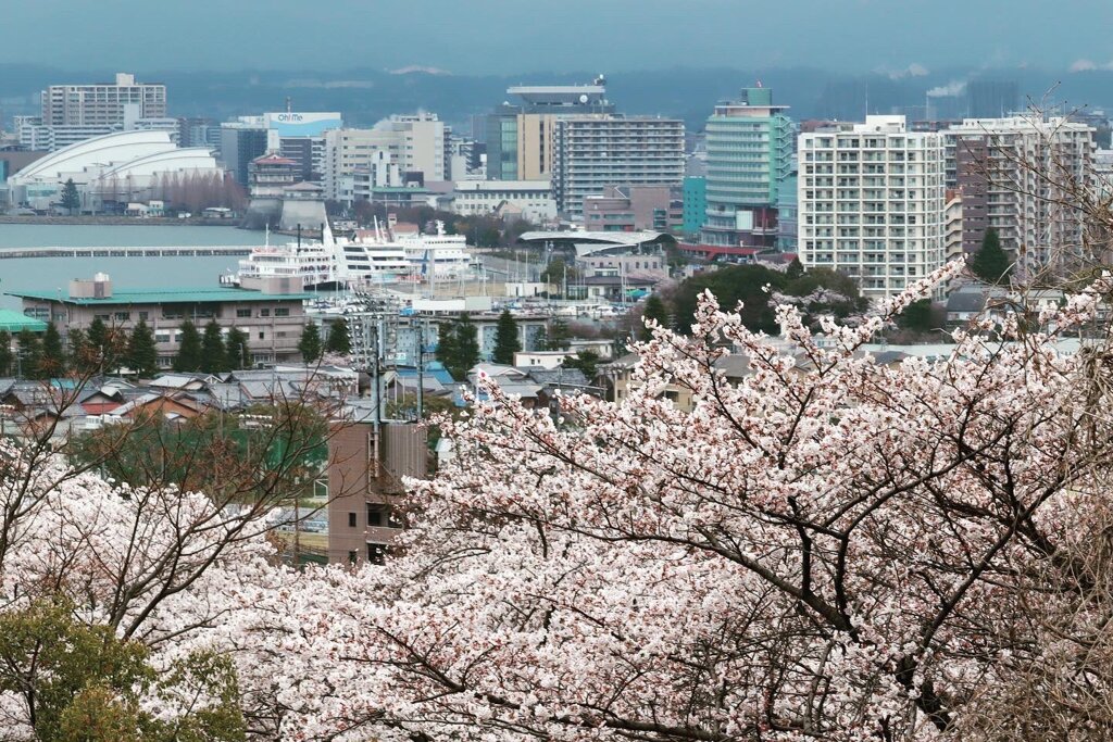 さくらの琵琶湖浜大津