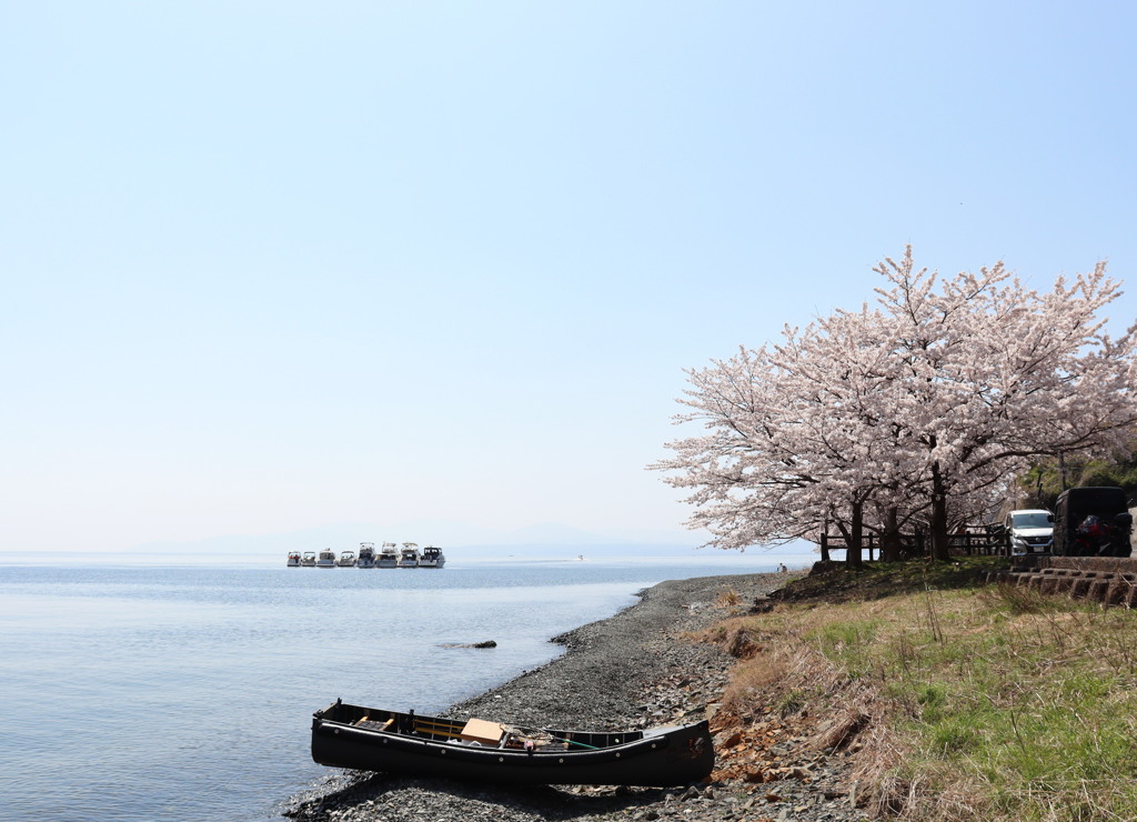 さくら2022_奥琵琶湖_菅浦