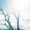 英彦山