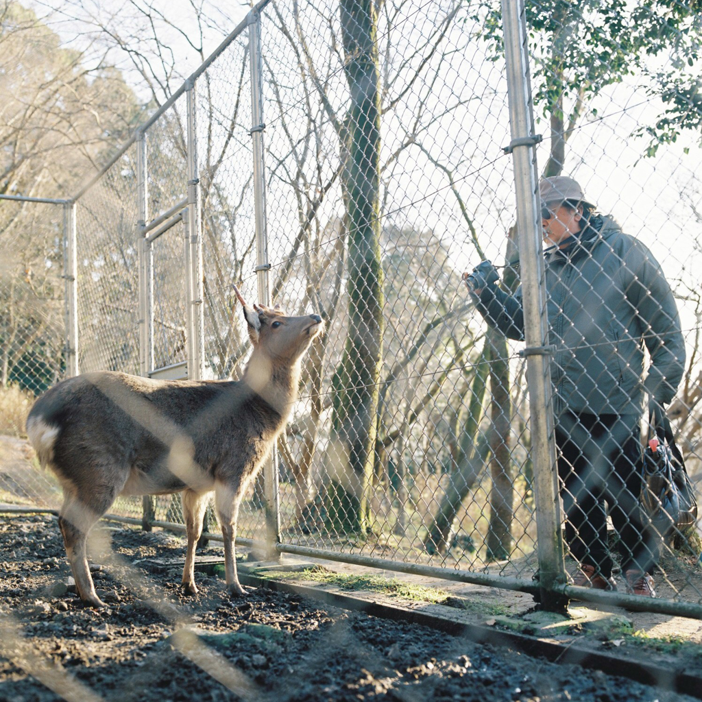 Dazaifu, Fukuoka, Japan, 2017.