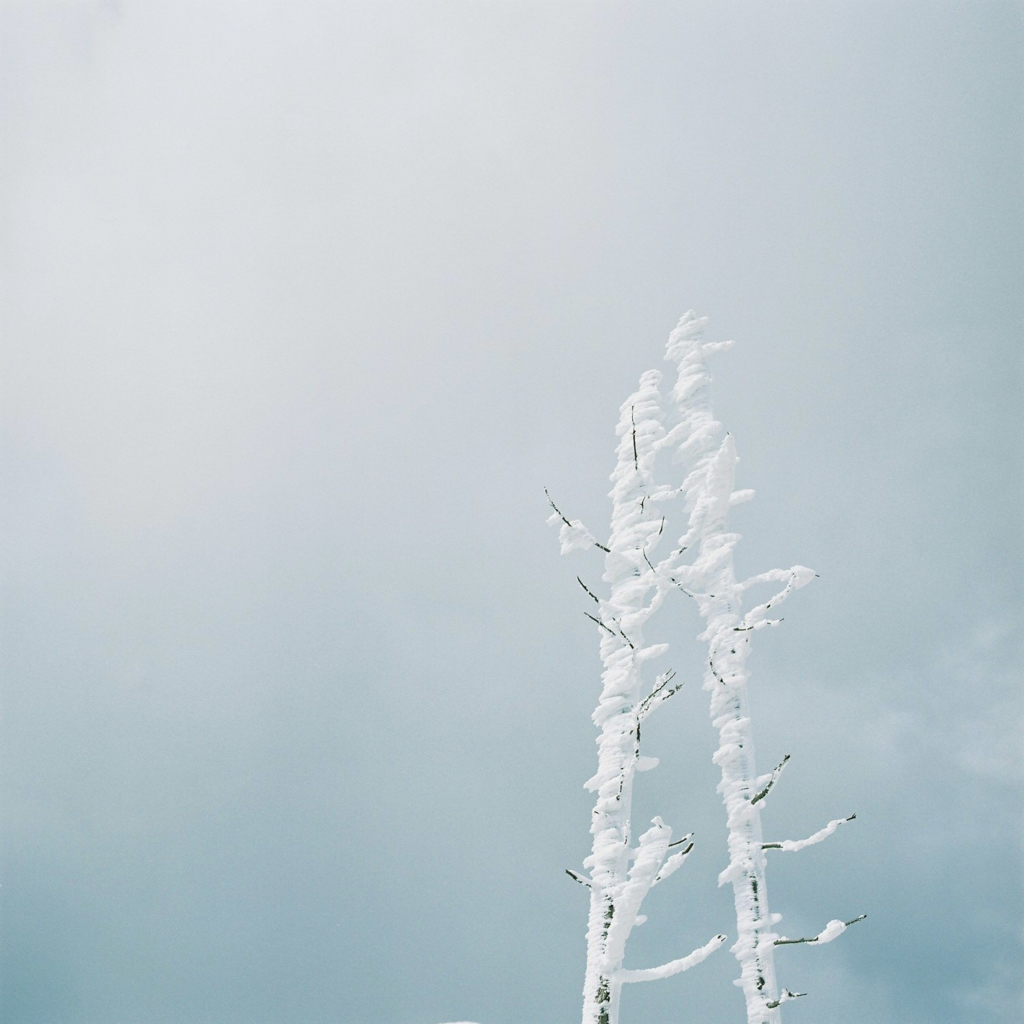 hikosan_20170212_020