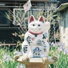 福岡 相島 猫島