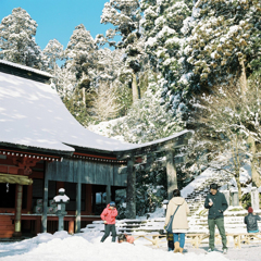 hikosan_20170212_039