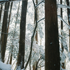 hikosan_20170212_028