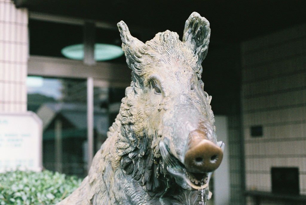 おっことぬしさま？