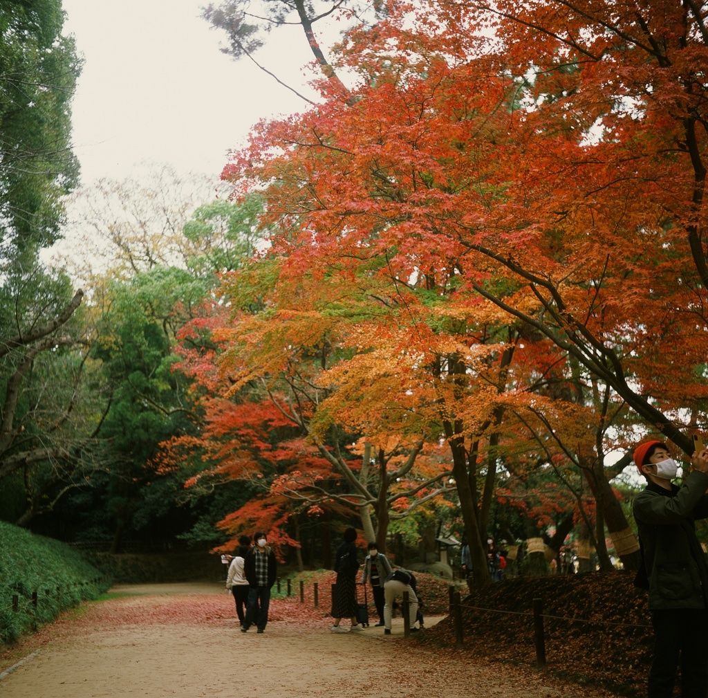 後楽園　紅葉