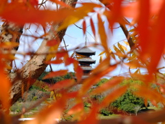 秋の備中国分寺五重塔