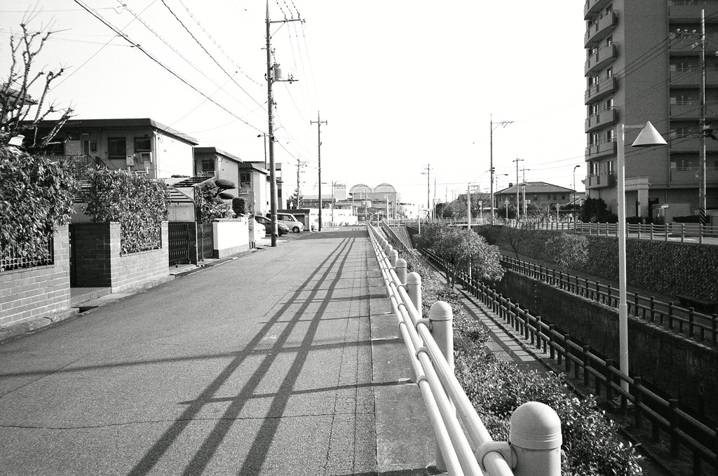 散歩道