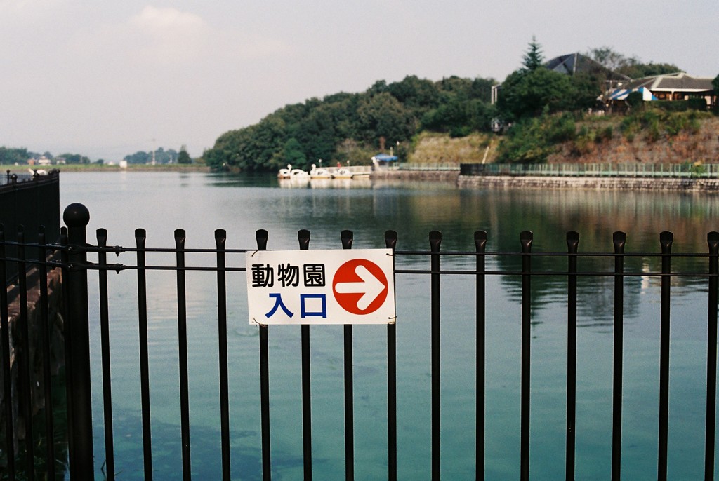 これから動物園
