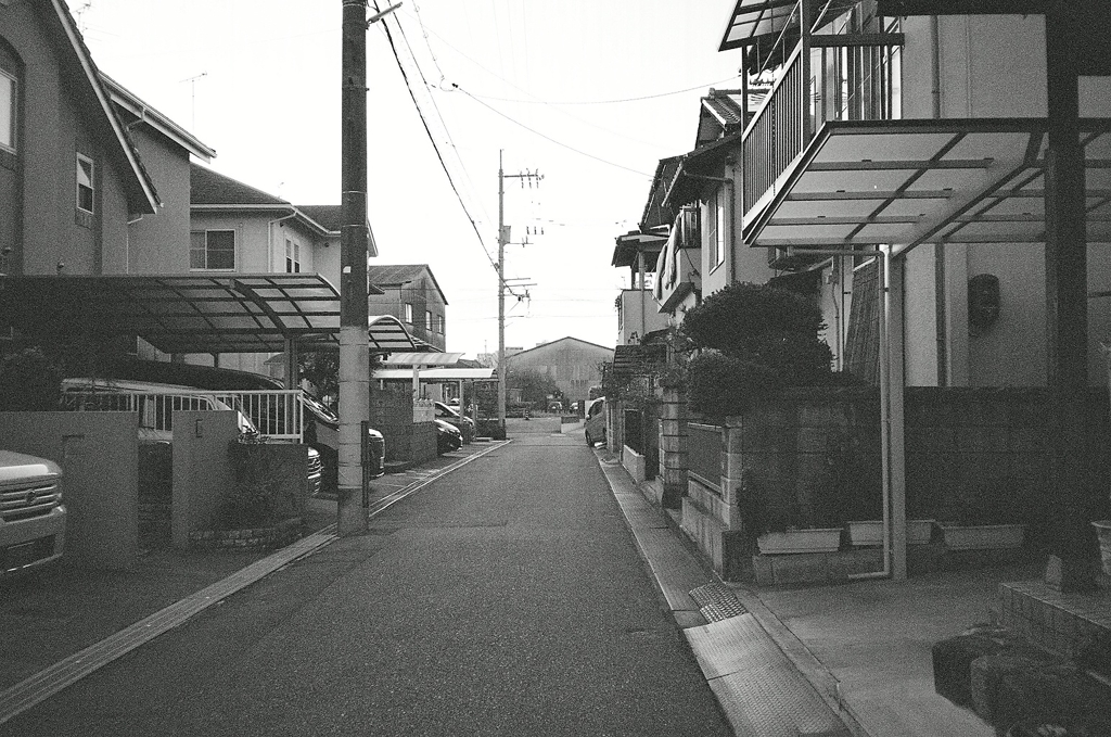 散歩道