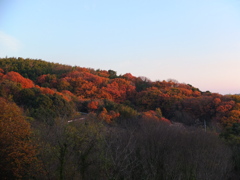 夕日に照らされる近くの山　1