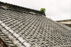 瓦屋根