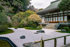 鎌倉・報国寺