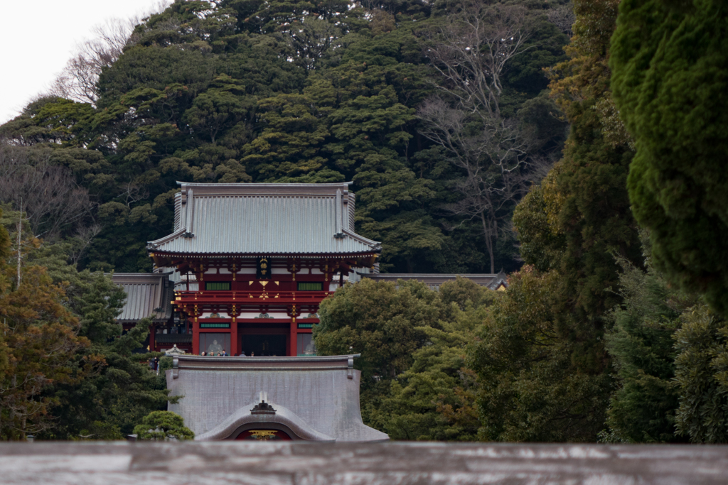 鎌倉　鶴岡八幡宮