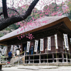 杉本寺（天台宗）