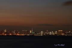 東京湾の夜景_1