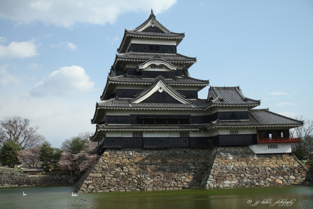 桜咲く烏城_6
