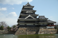 桜咲く烏城_6