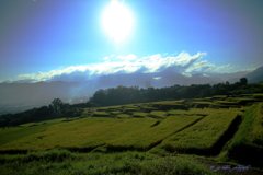 棚田の日の出_5