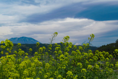 遥か（春か）黒姫山と妙高岳_edited