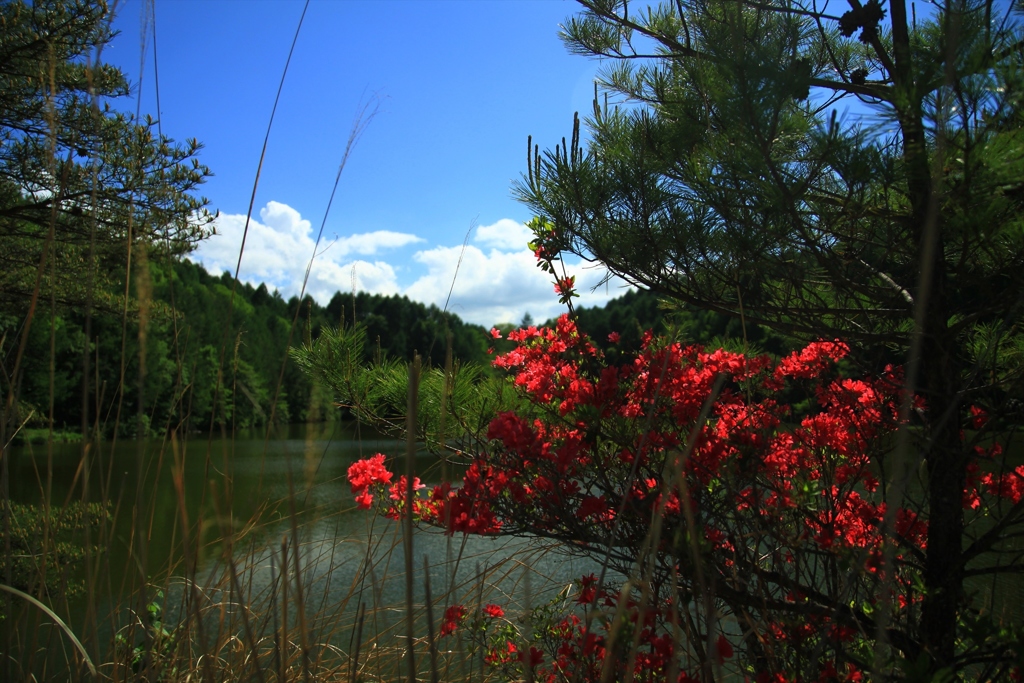 美笹湖の赤と緑とそよかぜと・・・_014