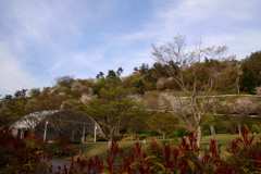 桜は山を登るを見る公園_1