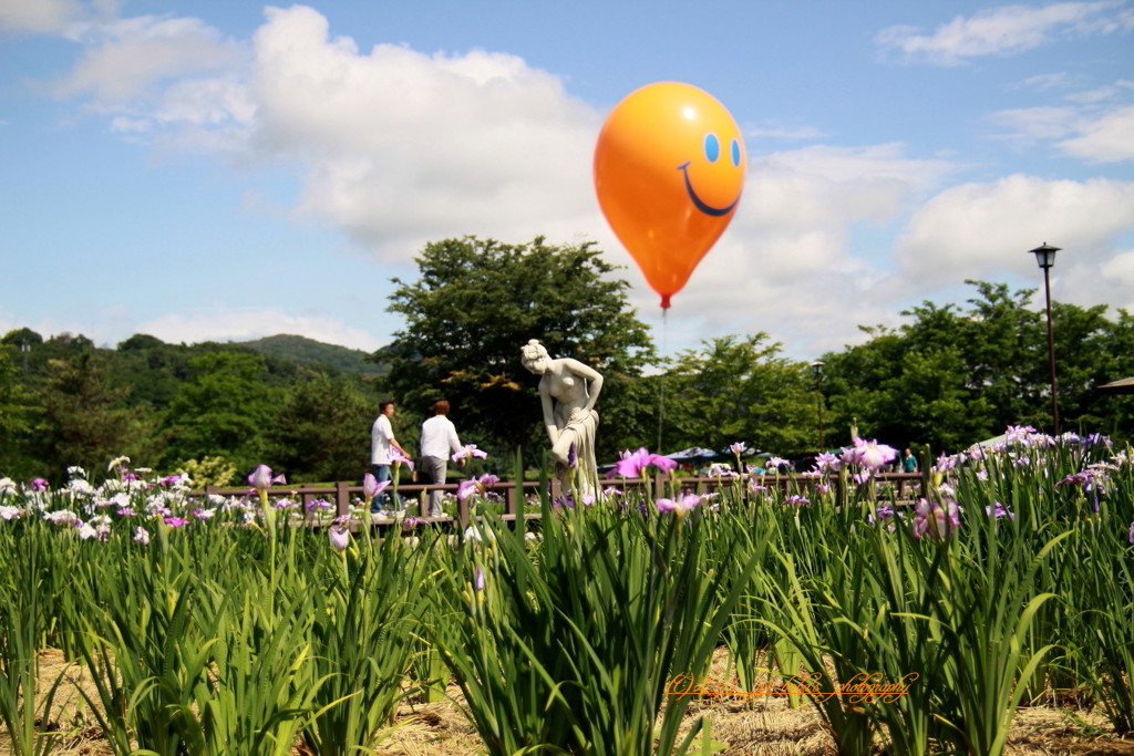 明科あやめ公園 (17)_rs