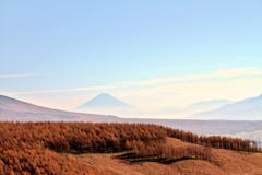霧ヶ峰富士見台　富士を見る_1_1