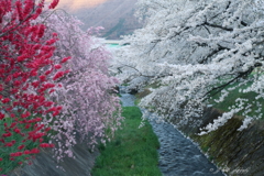 身近な桃源郷_2