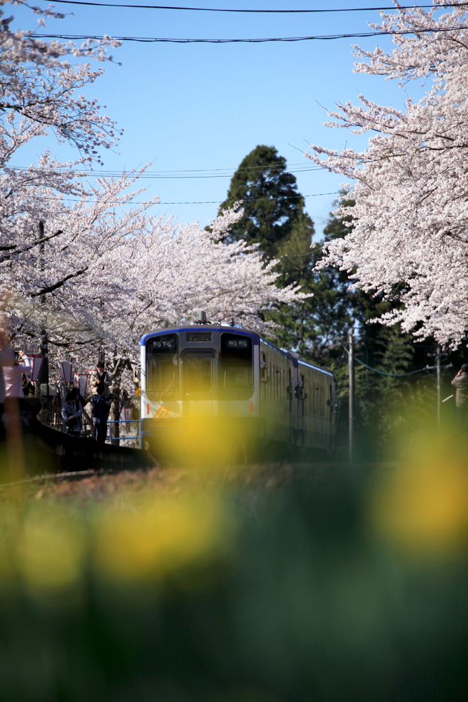 能登さくら駅（能登鹿島駅） (36)