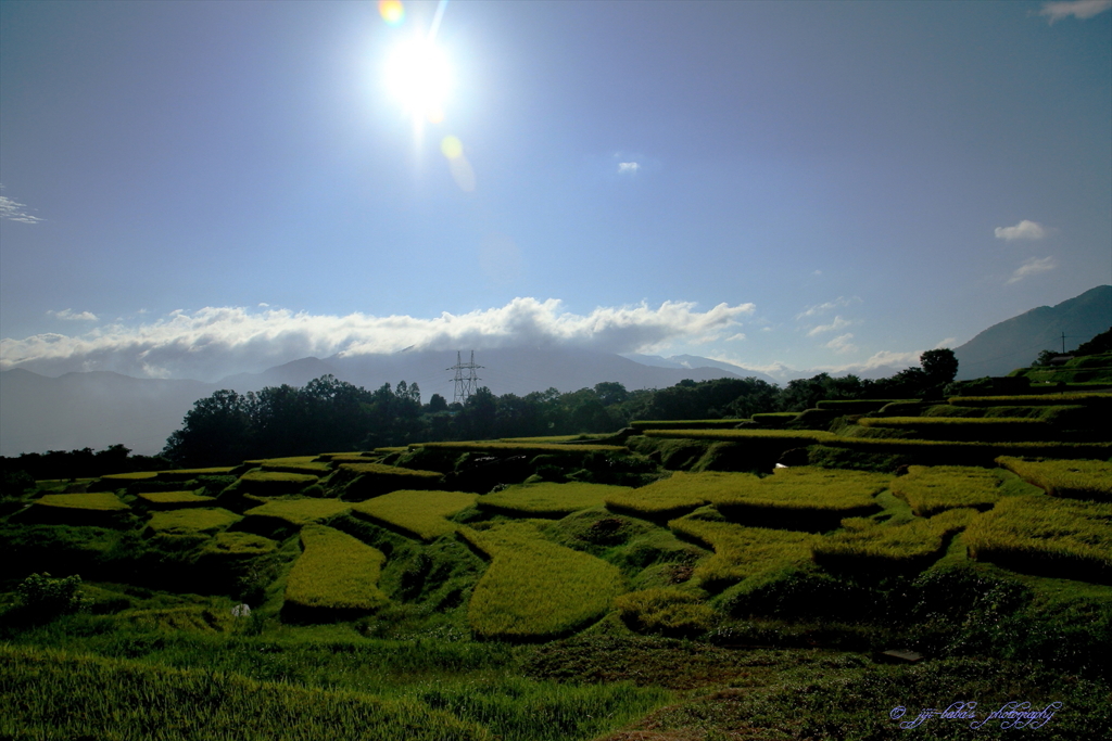 棚田の日の出_6