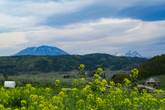 遥か（春か）黒姫山と妙高岳_edited_