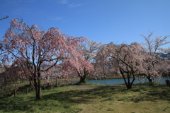 治田公園はるだ～！