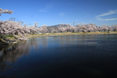 花びらの別れ_1